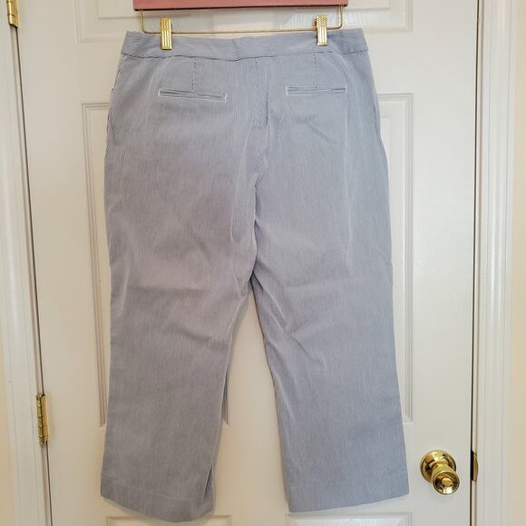 Land's End Cropped Blue and White Striped Seersucker Pants Size 10 - Picture 3 of 10